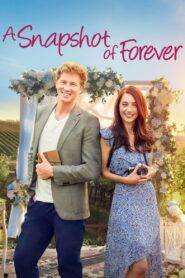 A Snapshot of Forever (2022) Hindi