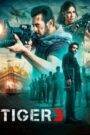 Tiger 3 (2023) Hindi