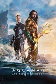 Aquaman and the Lost Kingdom (2023) Hindi Dubbed HD