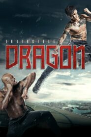 The Invincible Dragon (2019) Hindi Dubbed