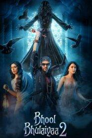 Bhool Bhulaiyaa 2 (2022) Hindi HD