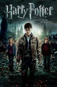 Harry Potter and the Deathly Hallows: Part 7 (2010) Hindi Dubbed