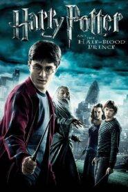 Harry Potter and the Half-Blood Prince 6 (2009) Hindi Dubbed