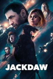 Jackdaw (2024) Hindi Dubbed