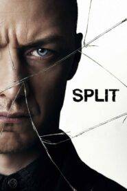 Split (2017) Hindi Dubbed