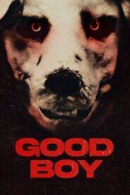 Good Boy (2022) Hindi Dubbed