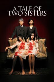 A Tale of Two Sisters (2003) Hindi Dubbed AMZN